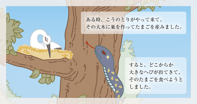 ある時、こうのとりがやって来て、その大木に巣を作ってたまごを産みました。 すると、どこからか大きなへびが出てきて、そのたまごを食べようとしました。